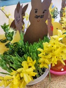 IMG20220412092146.jpg