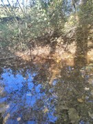 IMG20221020111130.jpg