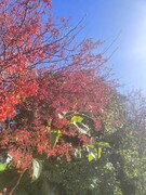 IMG20221020112557.jpg