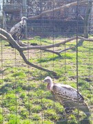 IMG20230320113547.jpg