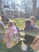 IMG20230320113725.jpg