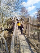 IMG20230320120835.jpg