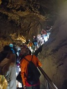 IMG20230613133257.jpg