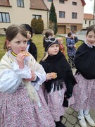 IMG20240213110917