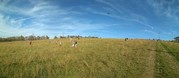 PANO_20191017_144749.jpg