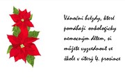 vanocni hvezda.JPG